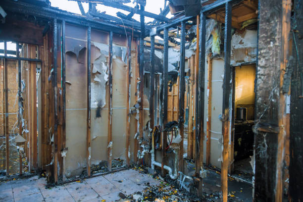 Professional Smoke Damage Removal technician working in Lone Grove, OK